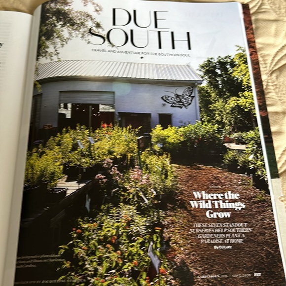 Magazines…Get Inspired! - Picture 9 of 16